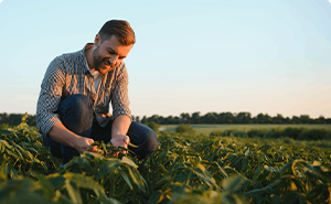 Agriculture